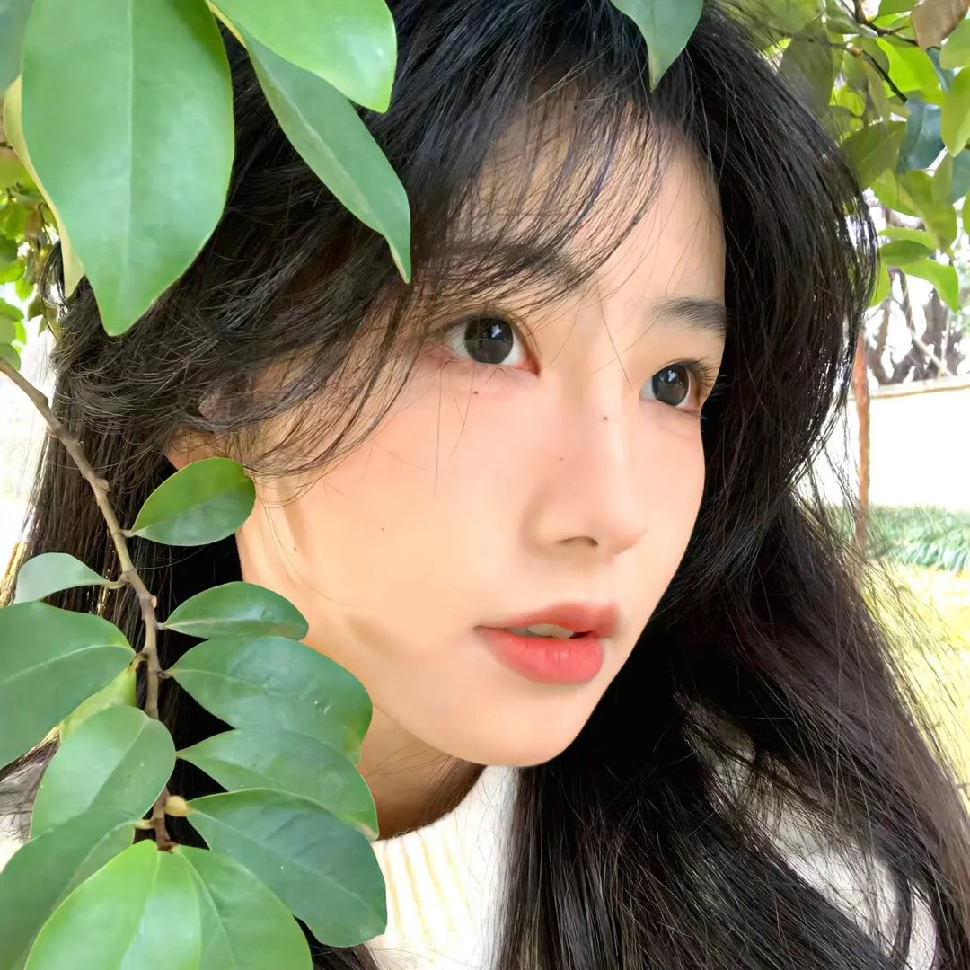 我的挚友安妮·法兰克
